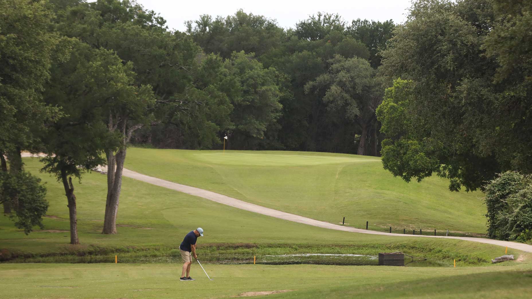 a golfer at lions muni
